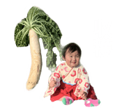 420099588