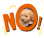 420161610