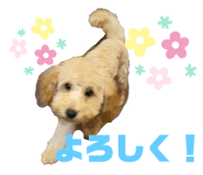 420161615