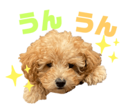 420161617