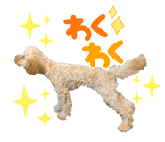 420161618
