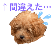 420161629