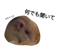 420162796