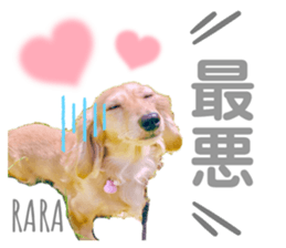 420162890