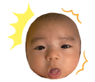 420173826