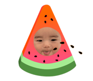 420173832