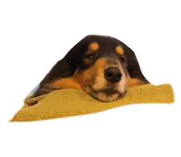 420182256