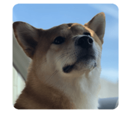 420190403