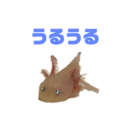 420205874
