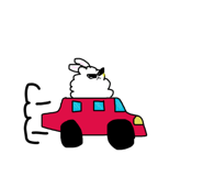 420245434