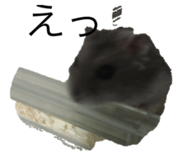 420318925
