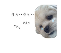 420393960