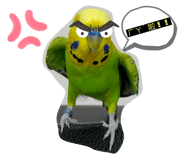 420493407