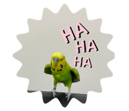 420493421