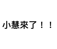 420513207