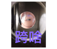420513209