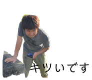 420590927