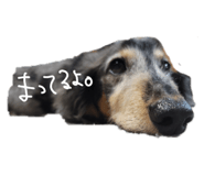 420760431