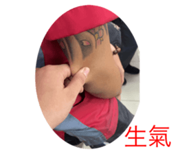 420803690