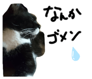 420806928