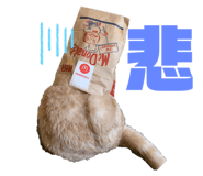 420945555