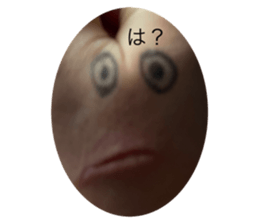 420977271