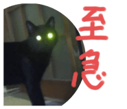 421000834