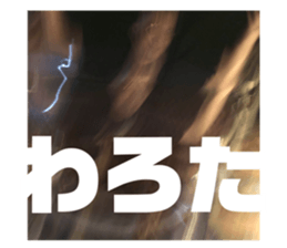 421004973