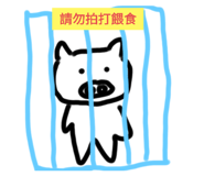 421005516