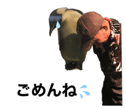 421009701