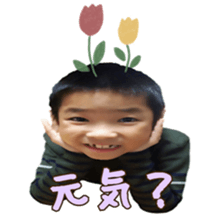 421093762