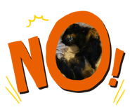 421242988