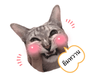 421244592