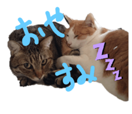 421299319