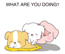42137159