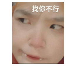 421392052