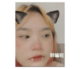 421392060