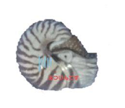 421448470