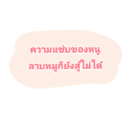421453225