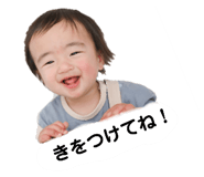 421508504