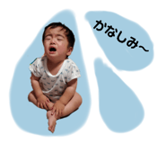 421508526