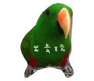 421529995