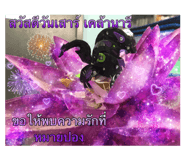 421537372