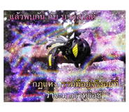 421537373