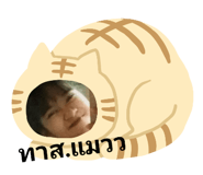 421551597