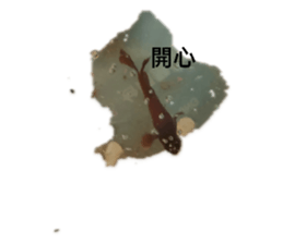 421556189