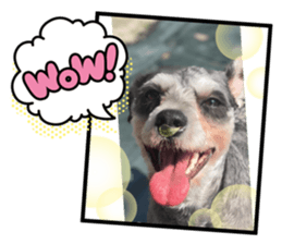 421559289
