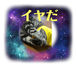 421559302
