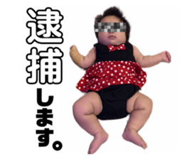 421565244