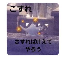 421570239